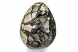 Septarian Dragon Egg Geode - Black Crystals #160227-3